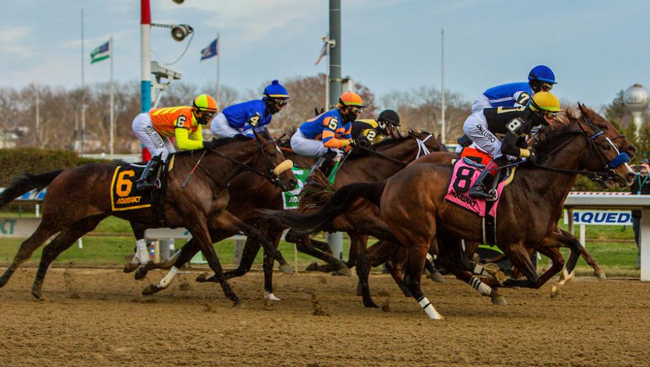 2023 Demoiselle Stakes, Aqueduct, Most of All, Ringy Dingy, Shimmering Allure, Life Talk